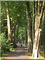 Path to Torbay Hospital