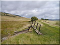 Bridge Remains On The Waverley Line