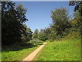 Path along Cockington valley