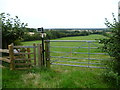 The Greensand Way from Greenhill Lane