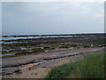 NO6036 : Rocky shoreline near Easthaven by Douglas Nelson