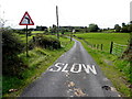 A bend ahead, Laghtmorris Road