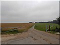 TA1700 : Farm track on the Lincolnshire Wolds near Cuxwold by Steve  Fareham