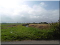 South Fen Drain from Huttoft Road