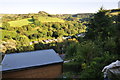 Chambercombe : Woodland & Rooftops