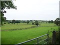 The flood plain of the Cully Water upstream of Silverbridge