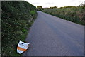 North Devon : Country Lane