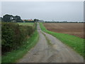 Track to Glebe Farm