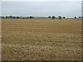 Stubble field near Dunholme