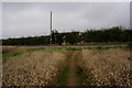 Footpath leading to Eastfield Farm