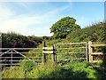 Llwybr Ceffyl Brynteg Bridleway