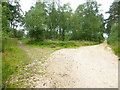 SU7660 : Junction of track and bridleway in Bramshill Forest (2) by Shazz