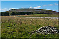 SD9990 : Wegber Scar from New Pasture by Tom Richardson