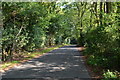 Sunlight and shadows on the lane from Bohemia