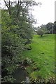 Water Meadow by Checkley Brook