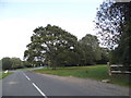 Wood Street Green looking towards Oak Hill