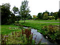 Lodge Burn, Anderson Park, Coleraine