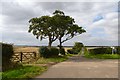 NT9144 : Road junction near Grindon by DS Pugh