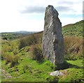 Standing stone, Mynydd Llangyndeyrn