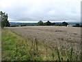 Farmland above Charingworth