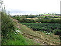 Farmland near Charingworth