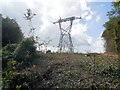 TQ3310 : Pylon near Millbank Wood by Paul Gillett