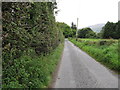 Ballinasack Road approaching the junction with Tullymacreeve Road