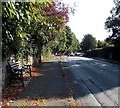 Bench near roadworks in Alderley Edge