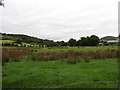 The flood plain of the Forkhill River north of Ballinasack Road