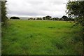 SH8763 : Field near Cefn-y-castell by Philip Halling