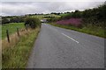 The B5384 east of Pandy Tudur