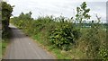 Path in Lostock