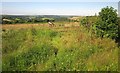 Field by Cumble Tor Lane