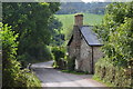 West Somerset : Country Lane