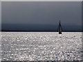 NH7455 : Leaving the Inner Moray Firth under sail by Julian Paren