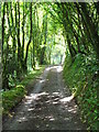 SN2910 : Shaded path at Laugharne by Gordon Hatton