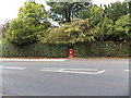 Newly-painted postbox in an Alderley Road hedge in Wilmslow