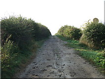 TA1164 : Green lane towards Thornholme  by JThomas
