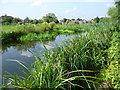 The Duke of Northumberland River near the Great South-West Road