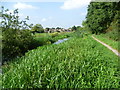 The Duke of Northumberland River approaching the Great South-West Road