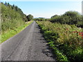H2388 : Minor road, Pullyernan by Kenneth  Allen