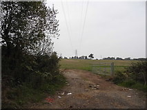 TL2506 : Field entrance on Wildhill Road by David Howard