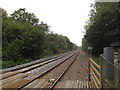 TG1904 : Railway Line at Intwood Road Crossing by Geographer