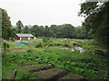 Whyteleafe Allotment site