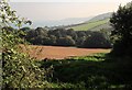 Countryside behind Bee Sands