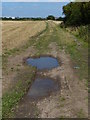 The Fosse Way crossing farmland