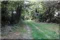 Tree lined avenue to Haynes Park