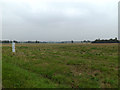 TM2899 : Fields off the B1332 Norwich Road by Geographer