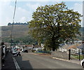 Early autumn colours in Pontycymer