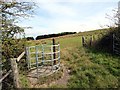 Llwybr Capel Bethesda Chapel Path